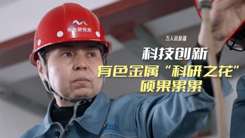 企业级机器学习平台应用案例解析